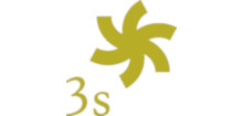 3S logo